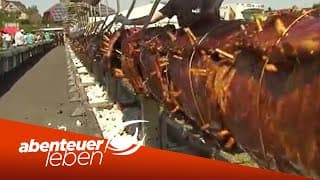 Der längste Grillspieß der Welt!